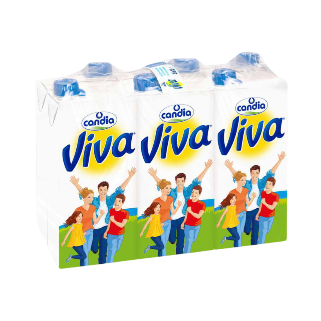 Image de Lait Vitaminé VIVA Candia